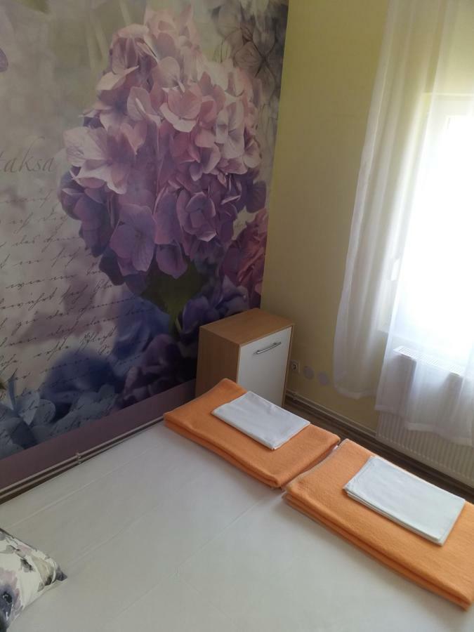 Yelena Rose West Appartement Zadar