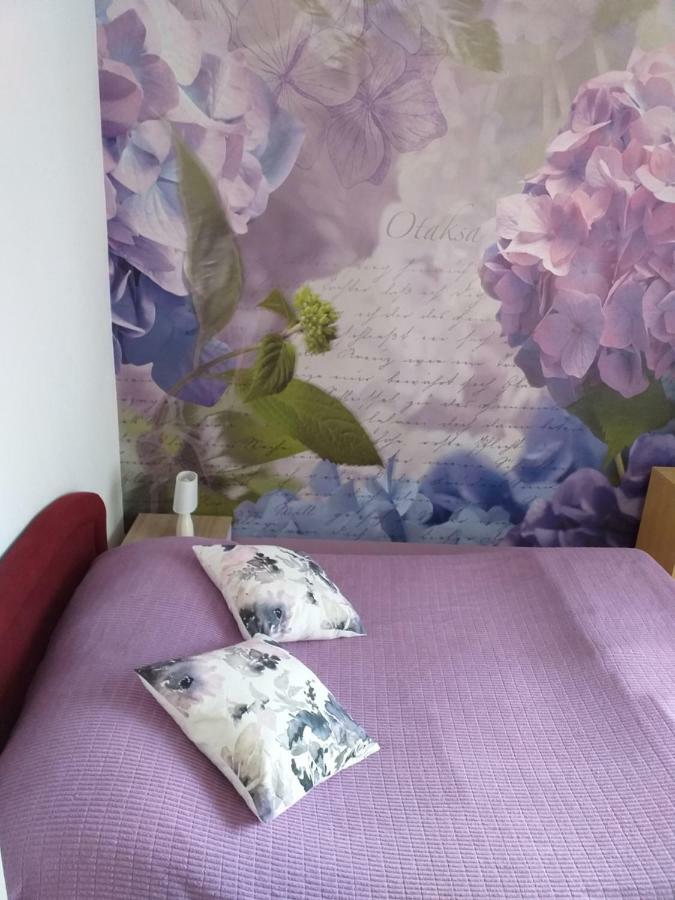 Yelena Rose West Appartement Zadar